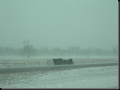 DSCN5947