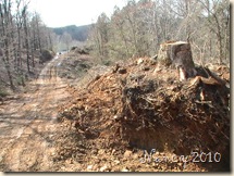 March 2010 033