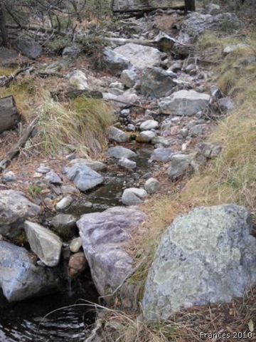 [arizona creek[7].jpg]