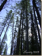 July 2009 118