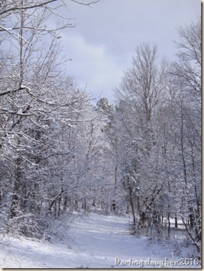 farm snow5