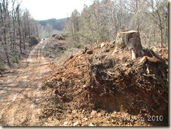 March 2010 033