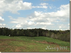 April 2010 067