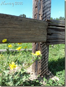 April 2010 031