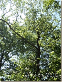 May 2010 010
