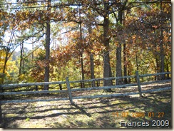 November 2009 061
