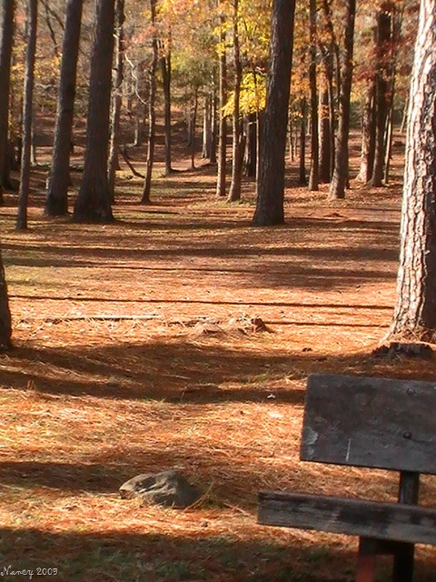 [November200921312.jpg]