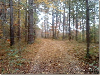November 2009 074