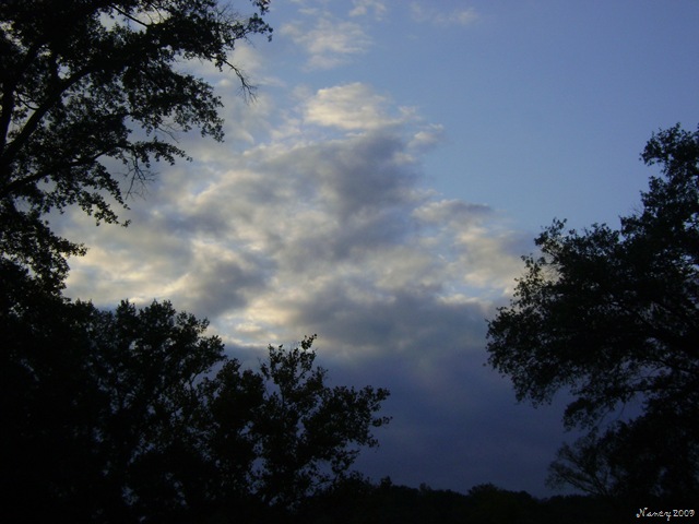 [October20090626.jpg]