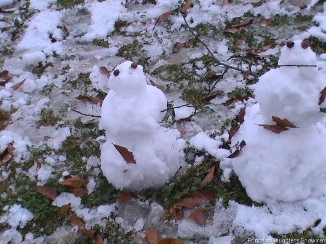 [December20090446.jpg]