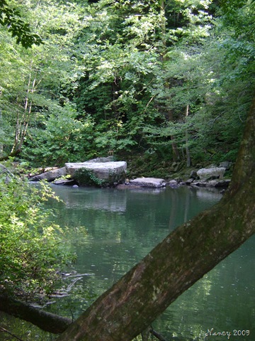 [June 2009 018[6].jpg]