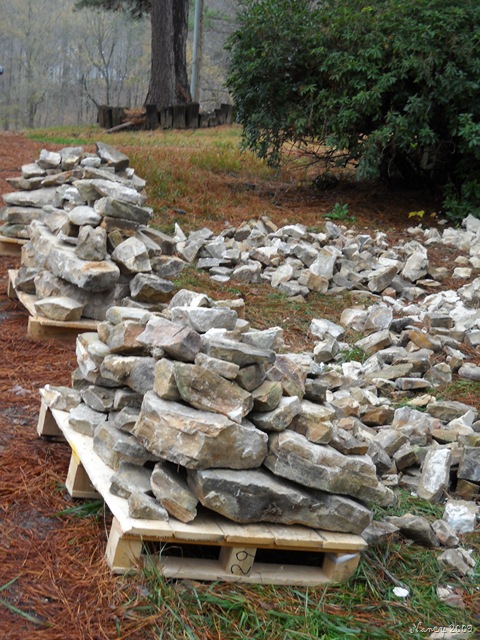 [December20090667.jpg]