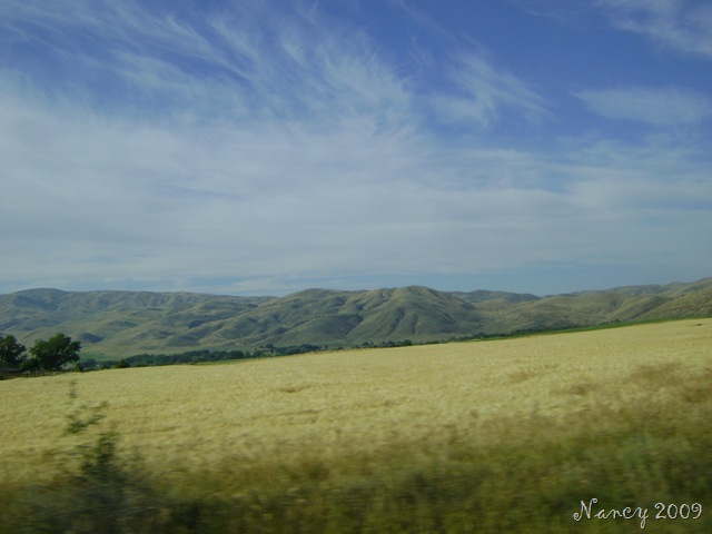 [July 2009 022[6].jpg]