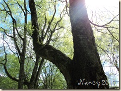 April 2010 051