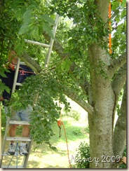 June 2009 031