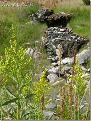 July 2009 073