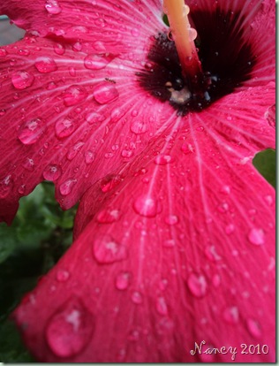 August 2010 016