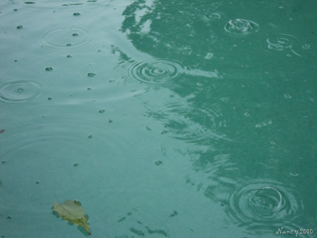 [August20100424.jpg]