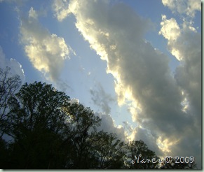 March 2009 021