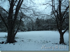 DSC00450