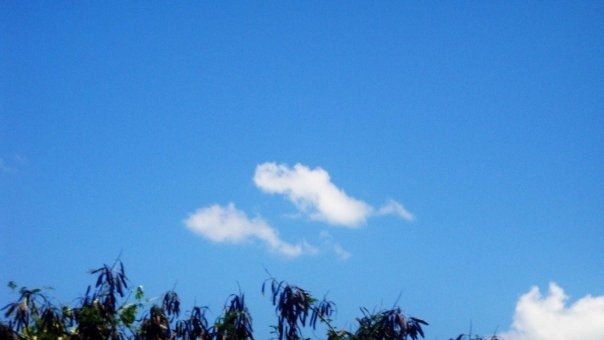 [29165_124784400865548_10000001965660[1].jpg]