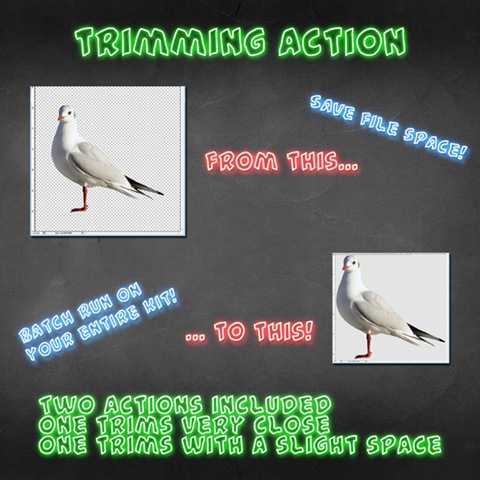 [trimming action preview copy[4].jpg]