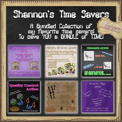 [dsm_timesaveractionbundle copy[4].jpg]