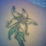 My tattoo of a daisy with thorns and my eye (named Trippin' Daisy, after the band). Don't ask if it means anything. I was 18. What do you think? (2006)