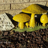 The horrid lawn decorations the previous owners of our house left.