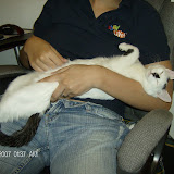 Mew Mew's version of "Sausage Kitty."  Also, check out my unbuttoned pants.  That's class.