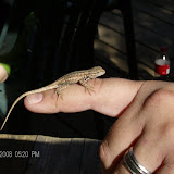 Oh, he's so tiny!