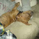 Sleeping on the couch while we watch movies.