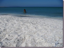 IMG_1580 IMG_1580