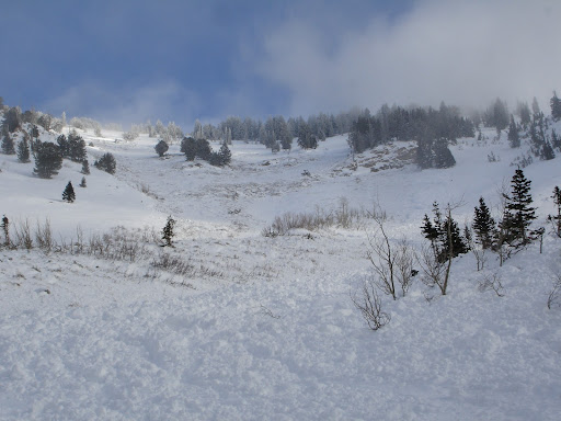 DSC06882.JPG