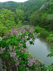 p1070084.jpg
