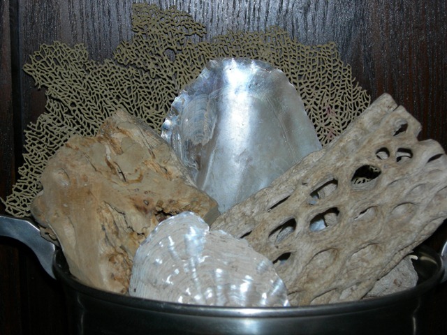 [seashells 003[5].jpg]