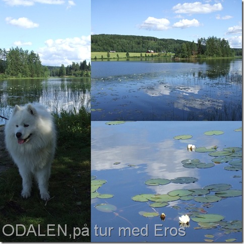 Odalen