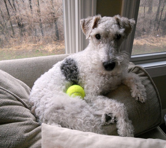 [29th Birthday 093picnik[6].jpg]