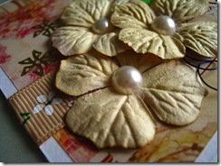 IMG_7717 IMG_7717