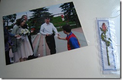 IMG_6913 IMG_6913