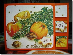 IMG_7893 IMG_7893