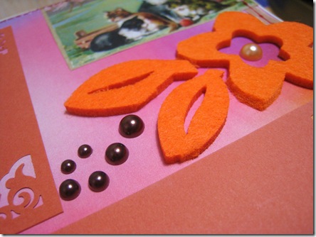 IMG_1050 IMG_1050