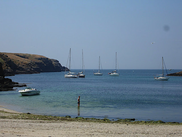 Aiguilles de port Coton