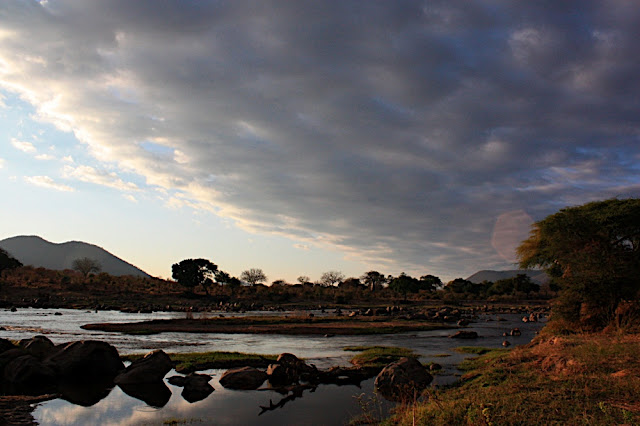Ruaha River Lodge 6