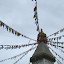 IMG_0776-1000.jpg