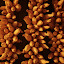 Nepal 574-1000.jpg