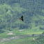 Nepal 438-1000.jpg