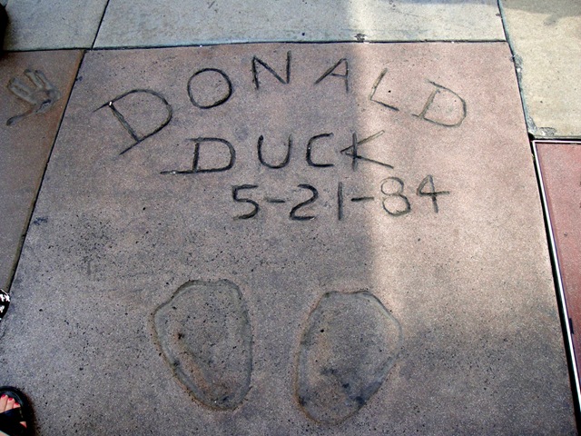 [DDonald duck[19].jpg]