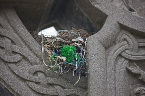 [Birds Nests in the Most Bizarre Places 012[5].jpg]