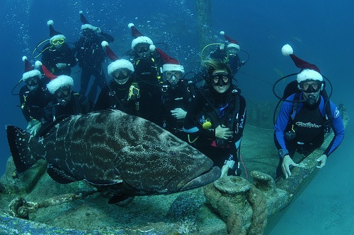 [A group shot, complete with a grouper[5].jpg]